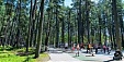 Tourist numbers in Jurmala up 5.4% last year Tourist numbers in Jurmala up 5.4% last year