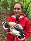 Rietumu Supports New Black Stork Conservation Project