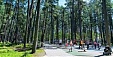 Tourist numbers in Jurmala up 5.4% last year