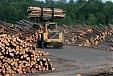 Latvian exports of forestry products down 7.3% in 9 months, imports down 3.2%