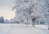 5 būtiski padomi autovadītājiem pirms ziemas iestāšanās