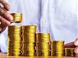 Projections on possible slowdown in economic growth is quite realistic - Fiscal Discipline Council